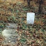 09110059